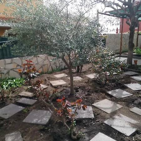 Bed & Breakfast L'agrifoglio Dell'etna