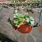לינה וארוחת בוקר L'agrifoglio Dell'etna טרקסטאני