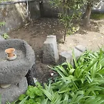L'agrifoglio Dell'etna 3* טרקסטאני