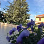 L'agrifoglio Dell'etna