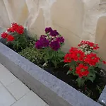L'agrifoglio Dell'etna לינה וארוחת בוקר טרקסטאני