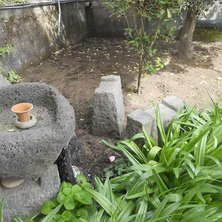 L'agrifoglio Dell'etna * Trecastagni