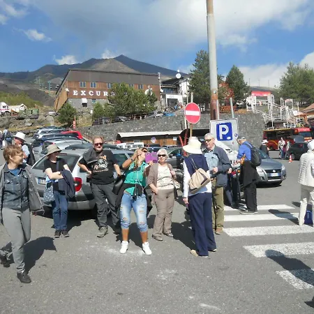L'agrifoglio Dell'etna Trecastagni