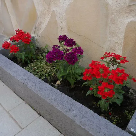 L'agrifoglio Dell'etna Bed & Breakfast Trecastagni