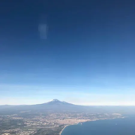 L'agrifoglio Dell'etna Trecastagni