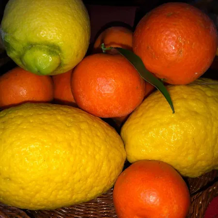 L'agrifoglio Dell'etna Bed & Breakfast 3*